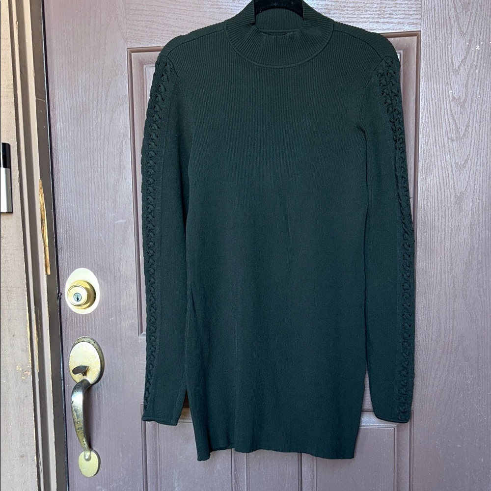 White House Black Market Dark Green Turtleneck Dress